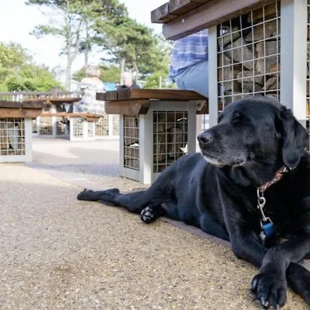 Newquay Bay Resort Sandy Toes - Pet Friendly Exterior photo