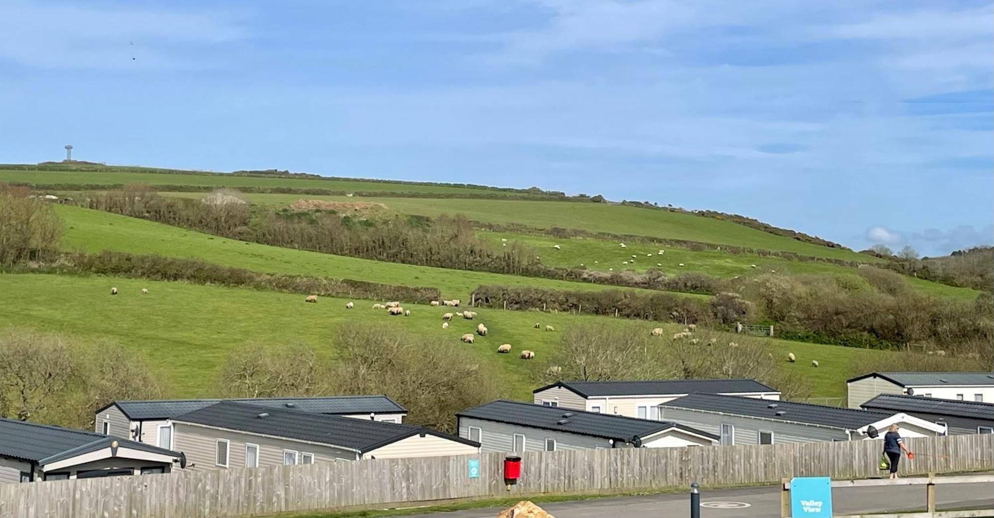 Newquay Bay Sandy Toes - Pet Friendly